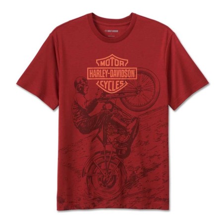 HD Männer FREEDOM MACHINE PERFORMANCE TEE 96815-23VM